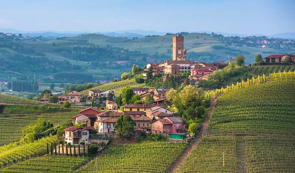 Langhe e Roero 2026 in moto da Torino: preparazione del giro tra colline, castelli e grandi vini 6 Panorama di Barbaresco tra vigneti, tappa centrale dell’itinerario in moto Langhe e Roero