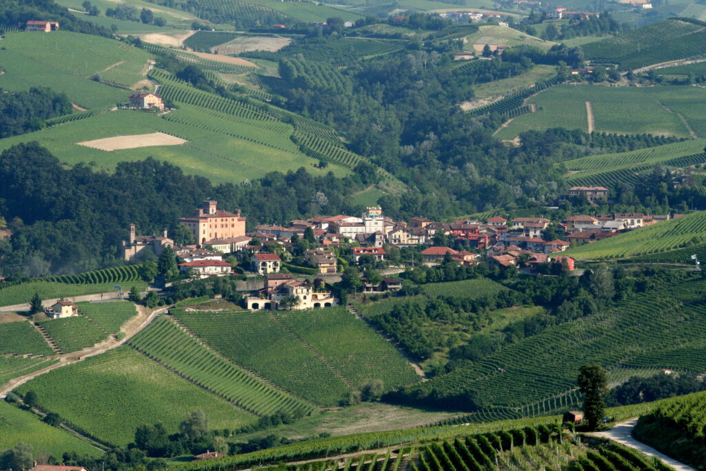 Langhe e Roero 2026 in moto da Torino: preparazione del giro tra colline, castelli e grandi vini 12 Panorama collinare con vigneti e borgo di Barolo, scenografia dell’itinerario in moto Langhe e Roero