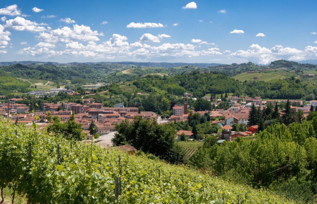 Langhe e Roero 2026 in moto da Torino: preparazione del giro tra colline, castelli e grandi vini 14 Panorama di Canale nel Roero, tappa dell’itinerario in moto Langhe e Roero